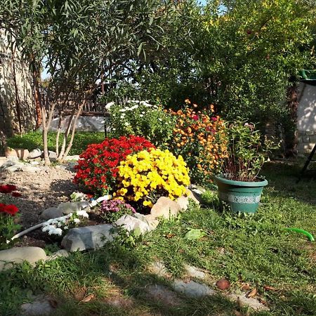 Old House Apartment With Garden Area Mtskheta Luaran gambar