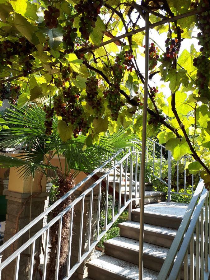 Old House Apartment With Garden Area Mtskheta Luaran gambar